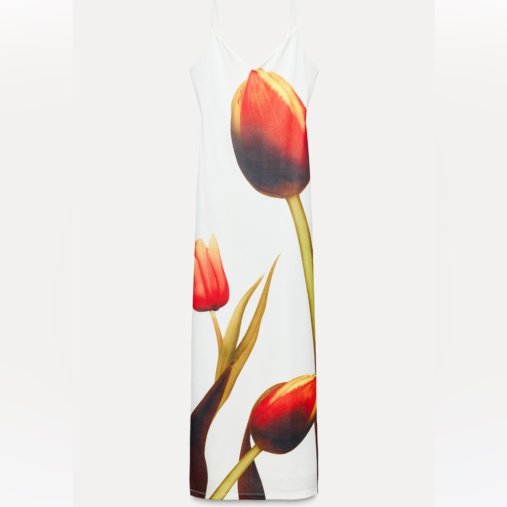 Zara Print Floral Dress